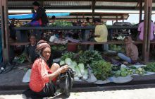 Zdjęcia z Papua - listopad 2012