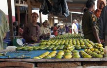 Zdjęcia z Papua - listopad 2012