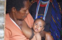 Zdjęcia z Papua - listopad 2012