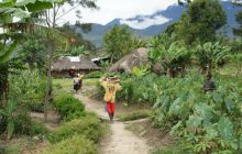 Zdjęcia z Papua - listopad 2012