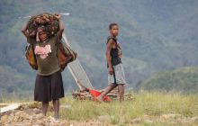 Zdjęcia z Papua - listopad 2012