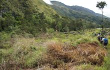 Zdjęcia z Papua - listopad 2012