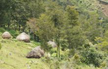 Zdjęcia z Papua - listopad 2012