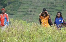 Zdjęcia z Papua - listopad 2012