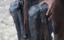 Zdjęcia z Papua - listopad 2012