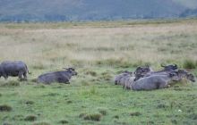 Zdjęcia z Papua - listopad 2012