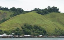 Zdjęcia z Papua - listopad 2012