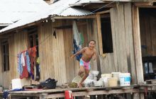 Zdjęcia z Papua - listopad 2012