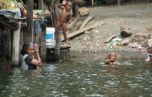 Zdjęcia z Papua - listopad 2012