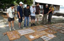 Zdjęcia z Papua - listopad 2012