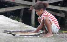 Zdjęcia z Papua - listopad 2012