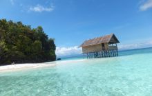 Zdjęcia z Papua - listopad 2012