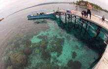 Zdjęcia z Papua - listopad 2012