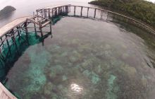 Zdjęcia z Papua - listopad 2012