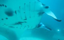 Zdjęcia z Papua - listopad 2012