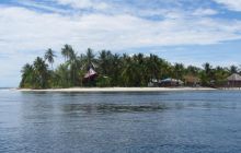 Zdjęcia z Papua - listopad 2012