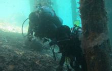 Zdjęcia z Papua - listopad 2012