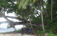 Zdjęcia z Papua - listopad 2012