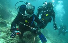 Zdjęcia z Papua - listopad 2012