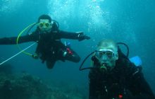 Zdjęcia z Papua - listopad 2012