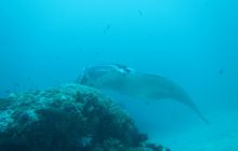 Zdjęcia z Papua - listopad 2012