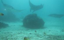 Zdjęcia z Papua - listopad 2012