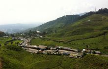 Zdjęcia z Papua - listopad 2012