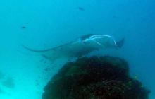 Zdjęcia z Papua - listopad 2012