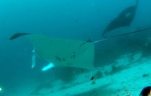 Zdjęcia z Papua - listopad 2012