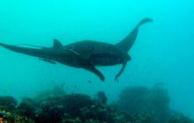 Zdjęcia z Papua - listopad 2012