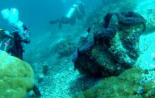 Zdjęcia z Papua - listopad 2012