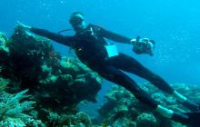 Zdjęcia z Papua - listopad 2012