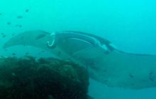 Zdjęcia z Papua - listopad 2012