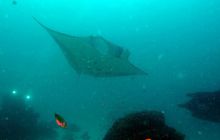 Zdjęcia z Papua - listopad 2012