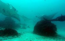 Zdjęcia z Papua - listopad 2012