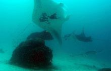 Zdjęcia z Papua - listopad 2012