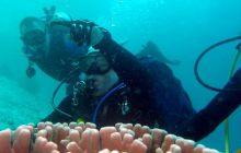 Zdjęcia z Papua - listopad 2012