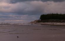 Dębki - styczeń 2005