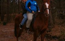 Dębki - styczeń 2005