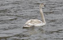 Rozpoczęcie Sezonu - kwiecień 2005