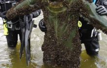 Rozpoczęcie Sezonu - kwiecień 2005