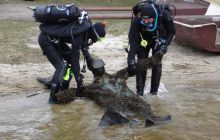 Rozpoczęcie Sezonu - kwiecień 2005