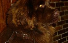 Zakończenie sezonu - Październik 2005