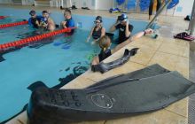 Zdjęcia z zajęć freediving w Trytonie