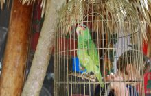 Zdjęcia ze styczniowego wyjazdu Meksyk i Belize 