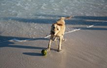 Zdjęcia ze styczniowego wyjazdu Meksyk i Belize 