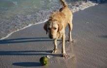 Zdjęcia ze styczniowego wyjazdu Meksyk i Belize 