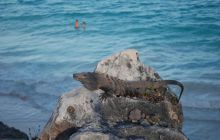 Zdjęcia ze styczniowego wyjazdu Meksyk i Belize 