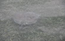 Zdjęcia ze styczniowego wyjazdu Meksyk i Belize 