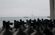 Zdjęcia ze styczniowego wyjazdu Meksyk i Belize 